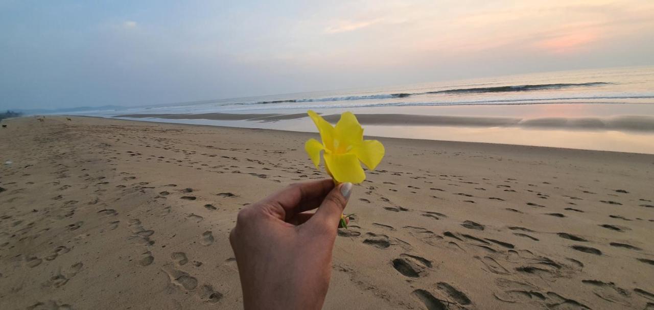 Blue Lagoon Beach Resort Gokarna  Luaran gambar